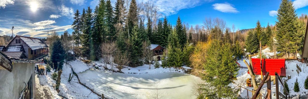 Pensiunea Ionela Hotel Zemes Buitenkant foto