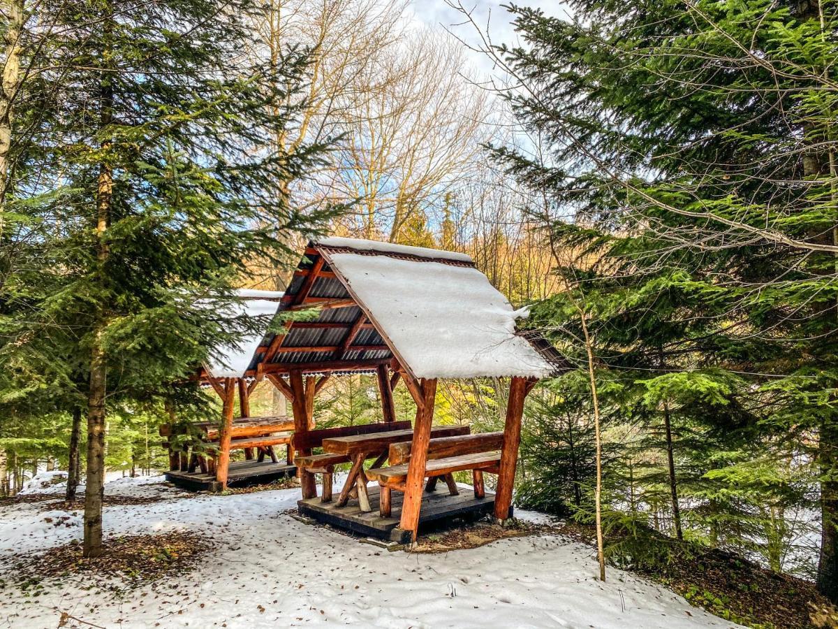 Pensiunea Ionela Zemes Buitenkant foto