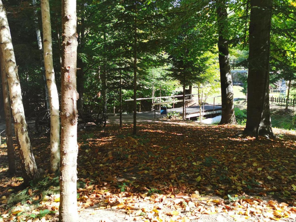 Pensiunea Ionela Hotel Zemes Buitenkant foto