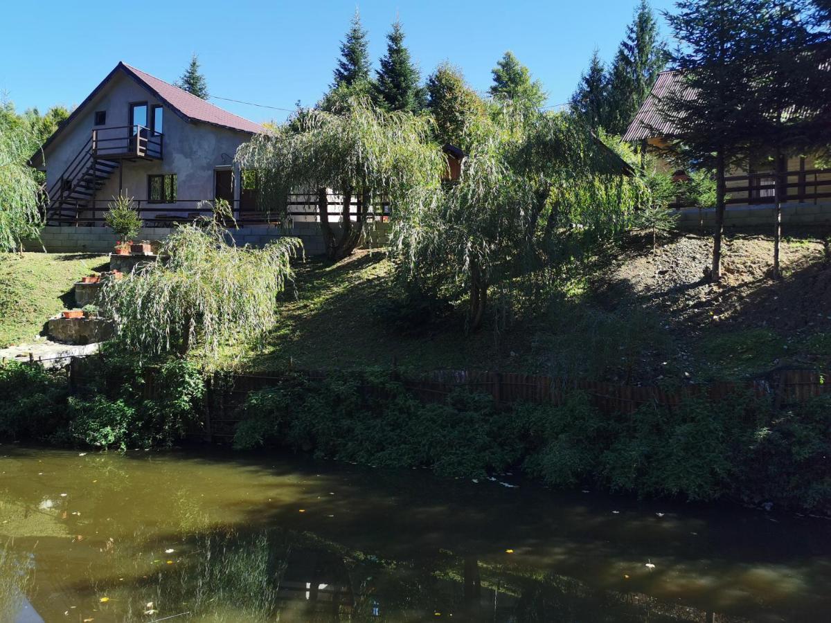 Pensiunea Ionela Hotel Zemes Buitenkant foto