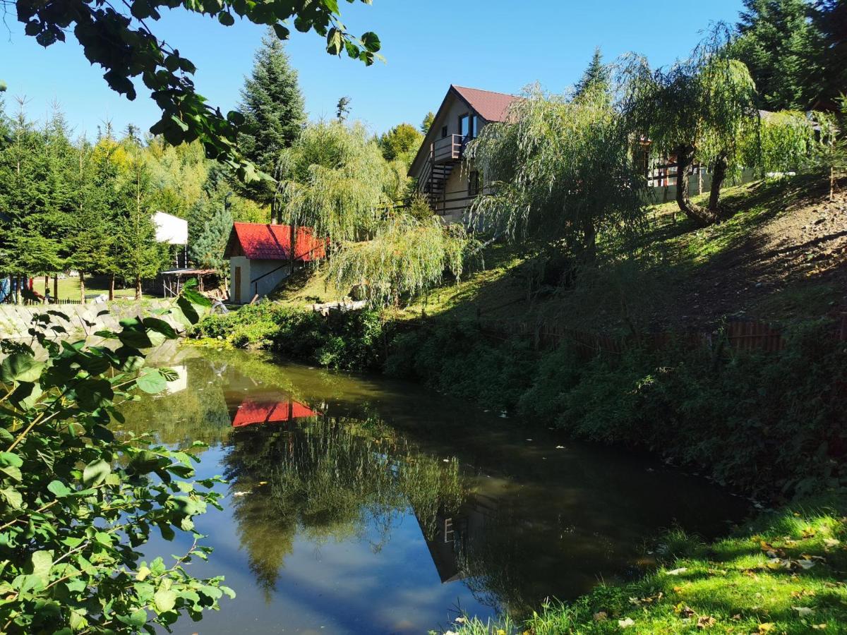 Pensiunea Ionela Hotel Zemes Buitenkant foto