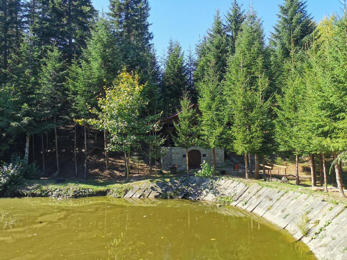 Pensiunea Ionela Zemes Buitenkant foto