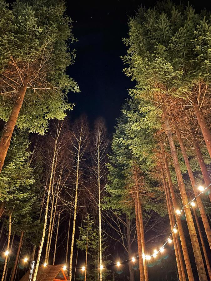 Pensiunea Ionela Zemes Buitenkant foto